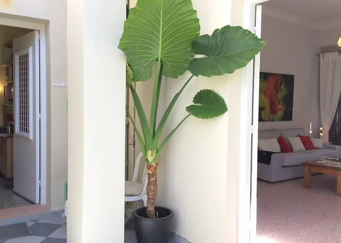 Colorful 110 M2 House In Chania Center! Apartman *